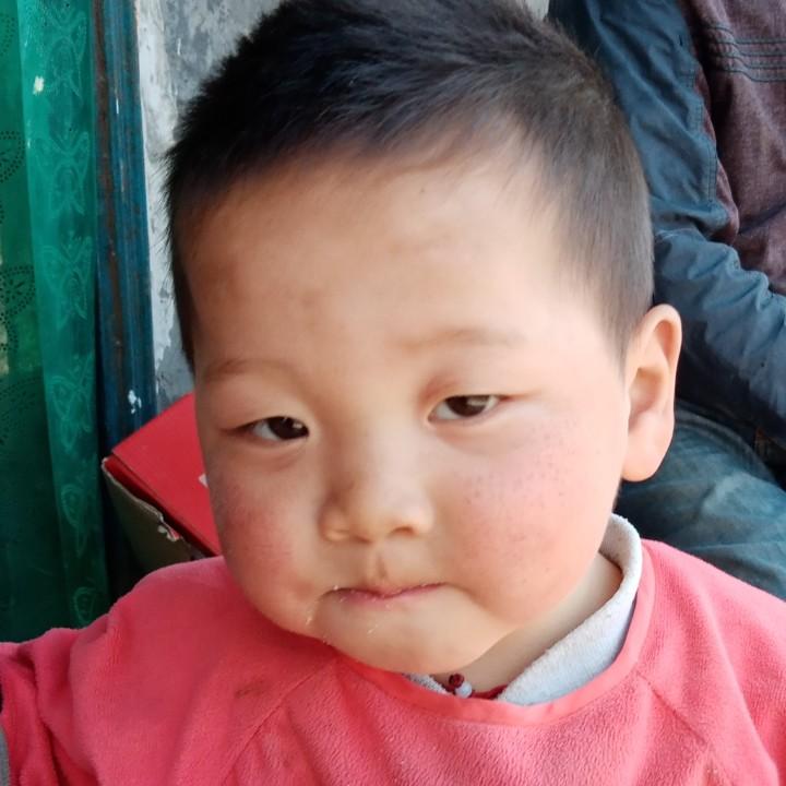 梓琪梓阳奶奶