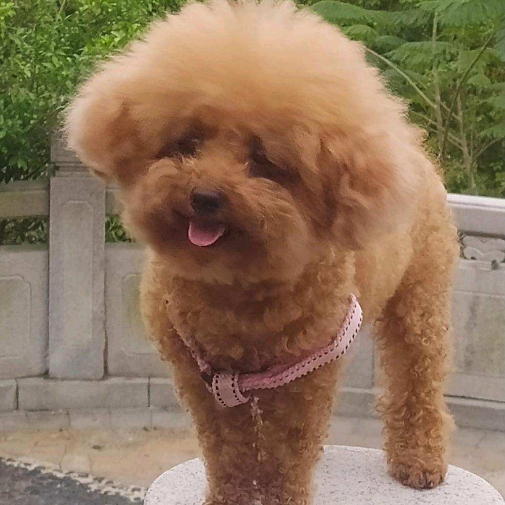 人生之路