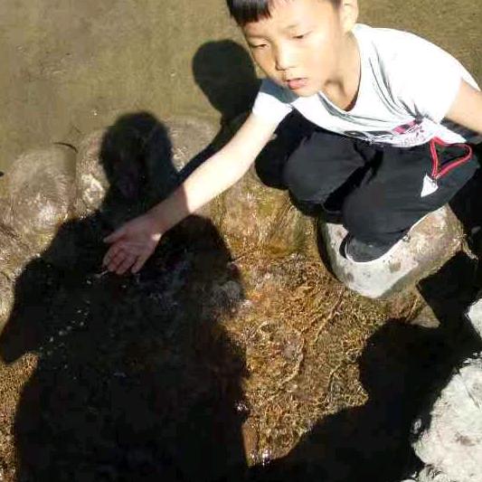 李建康