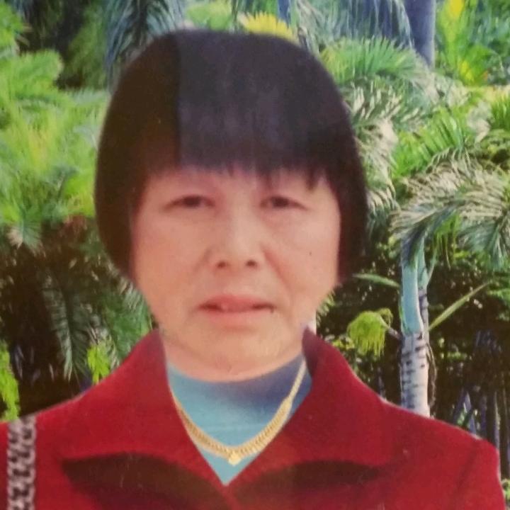 同路人