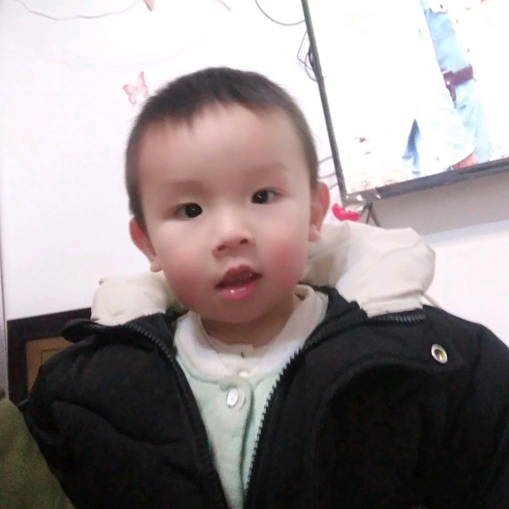 货运出租搬家拉货