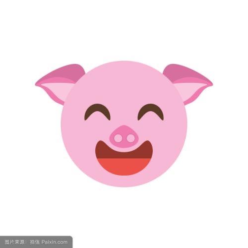 可爱的懒猪🐷