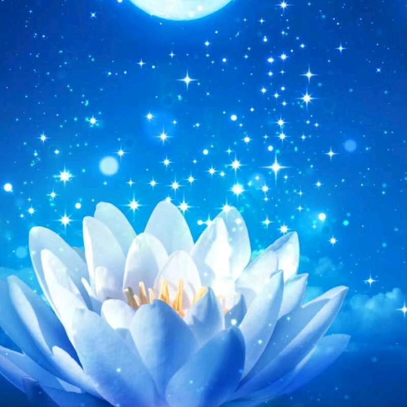 1大万年青+万年青生生不息。