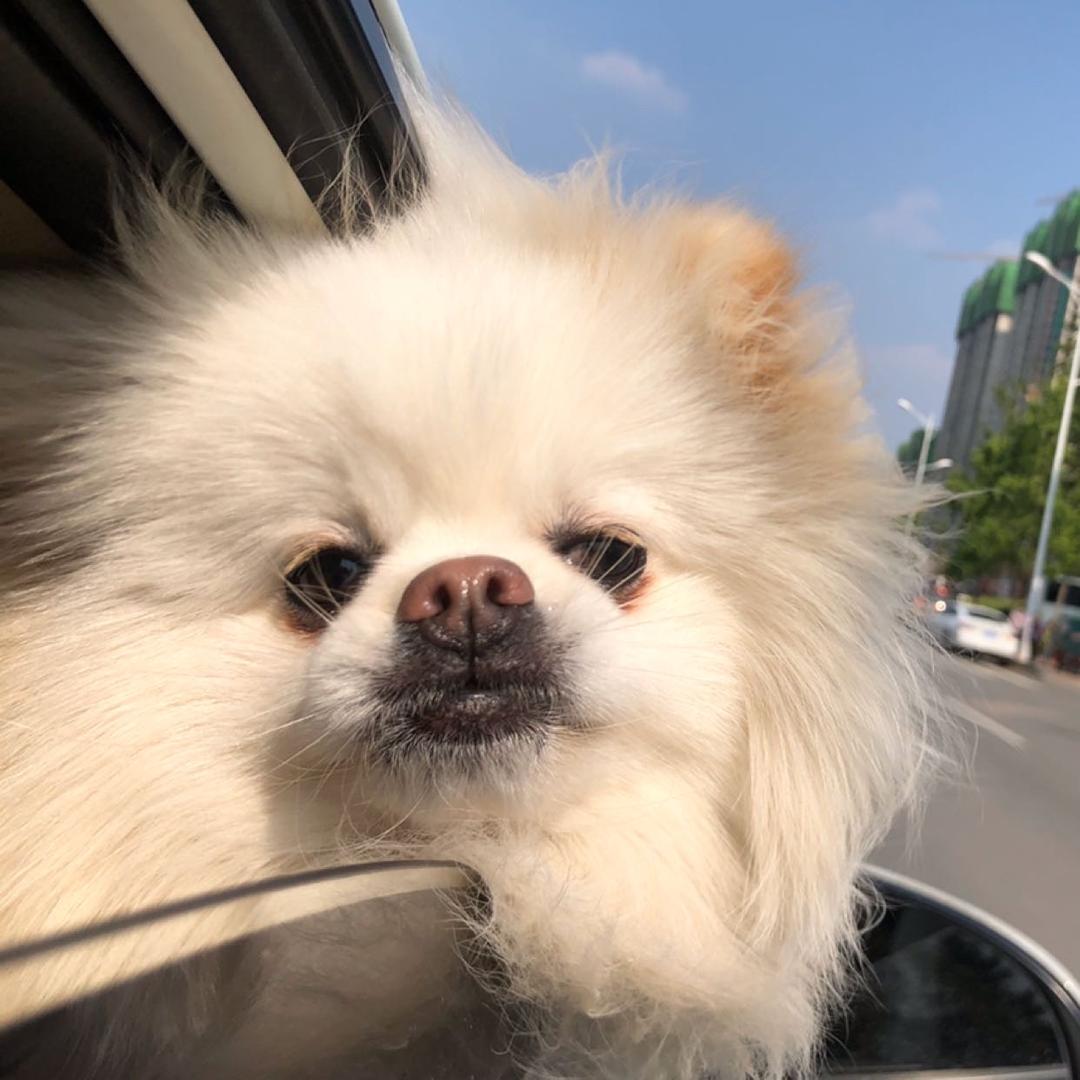 钝感力世界