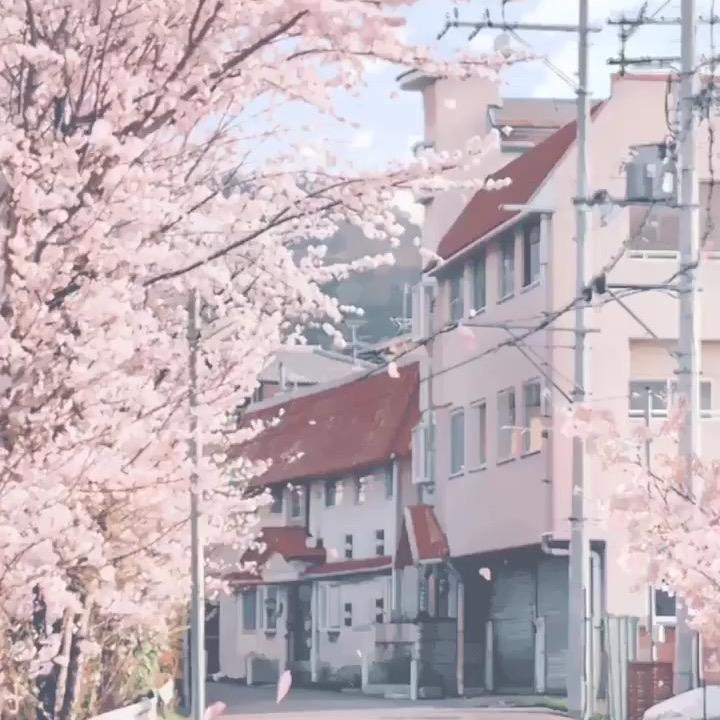 🌈🥤🥤🥤