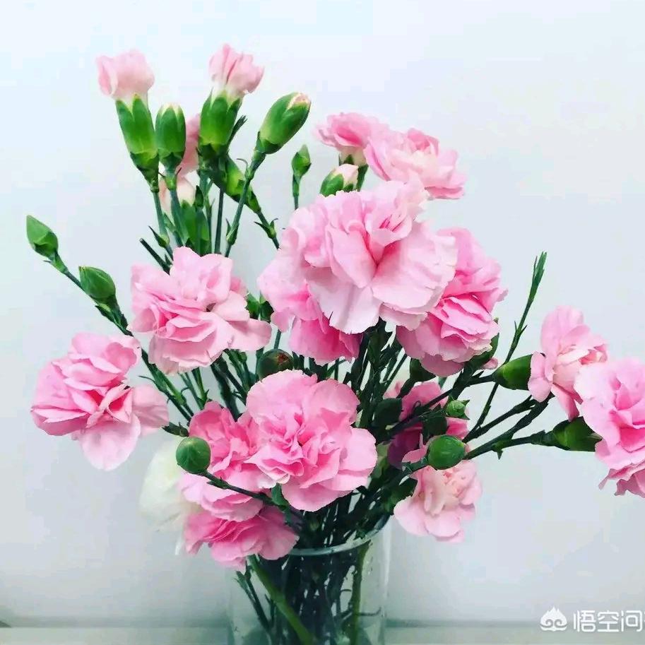 好人一生平安