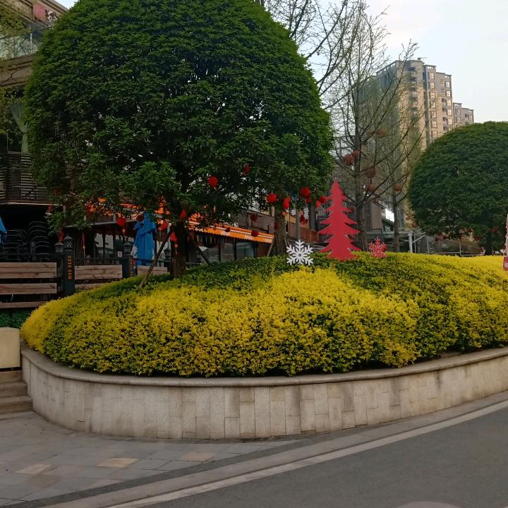 北方的狼🐺