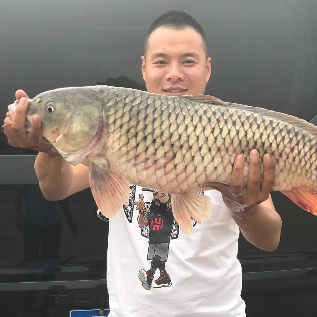 钓鱼小白龙