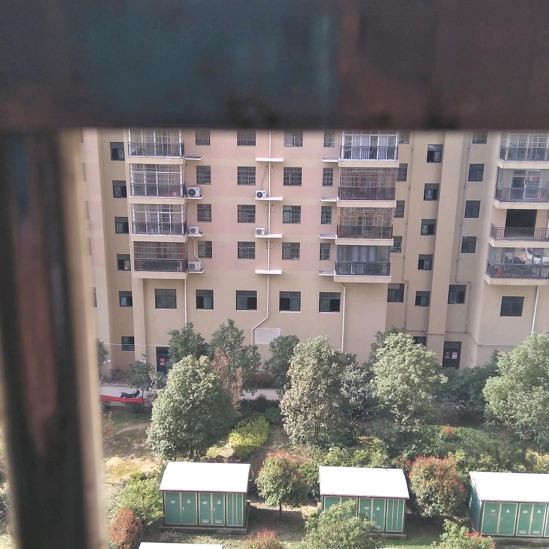 玲