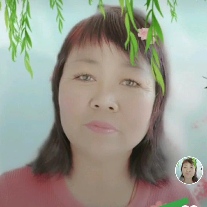 月亮之上