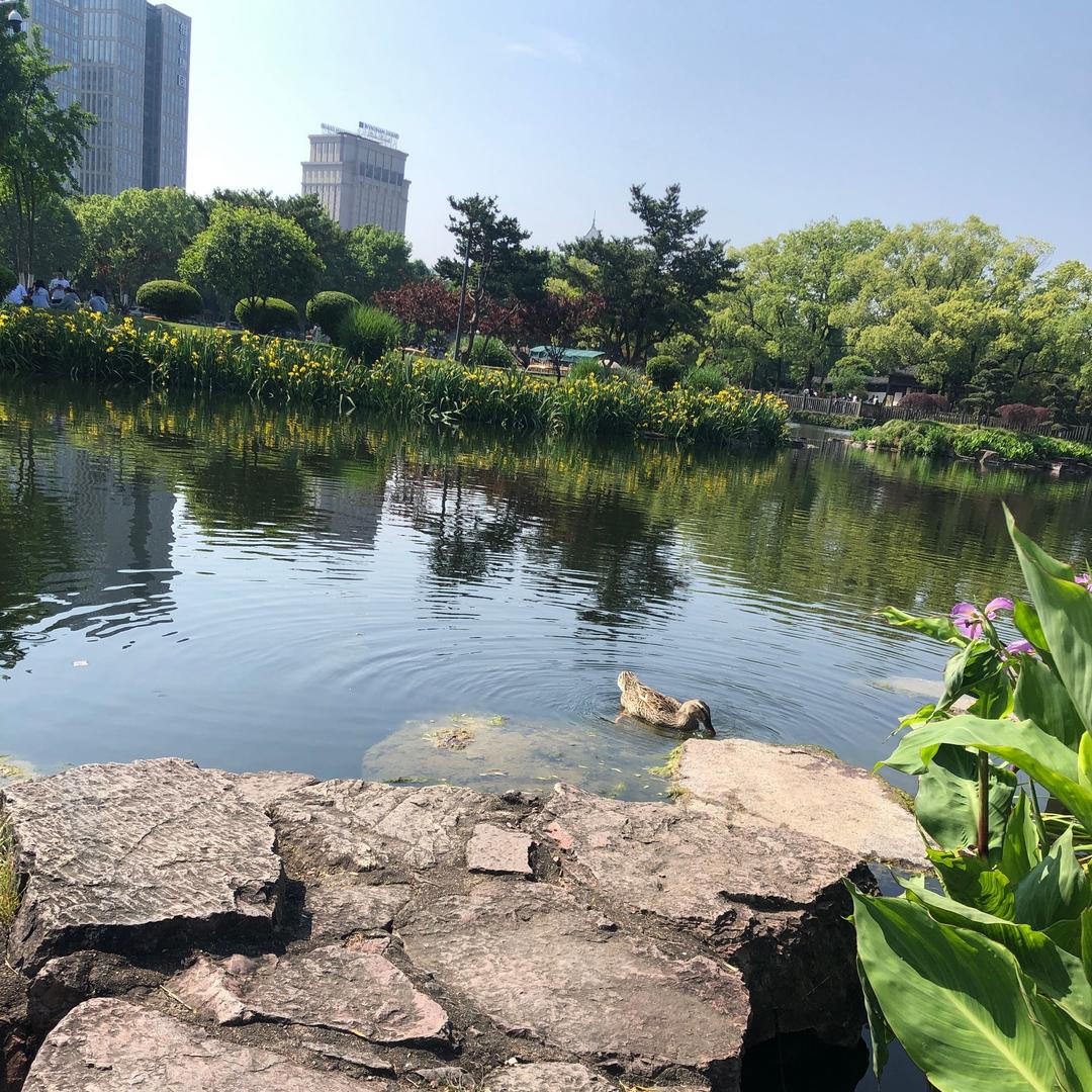 然然🐳宁宁
