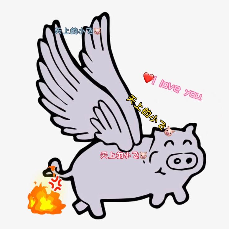 天上的小飞🐷