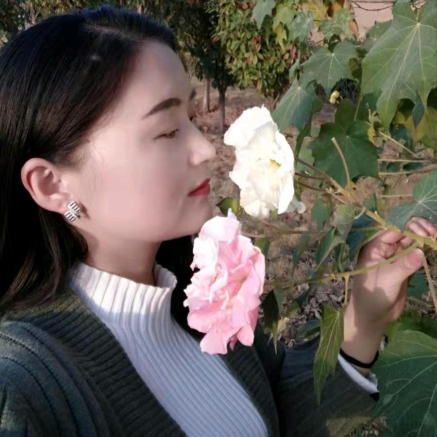 刘心