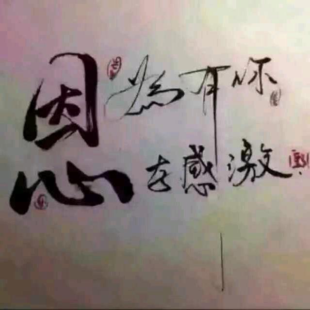 宝晟出行