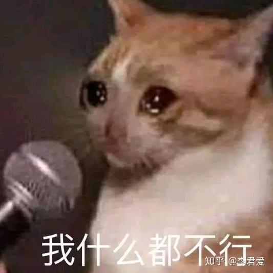 徐小兔