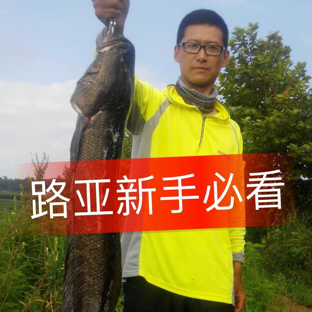 大伟~路亚试钓师