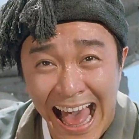 新安特农场丁