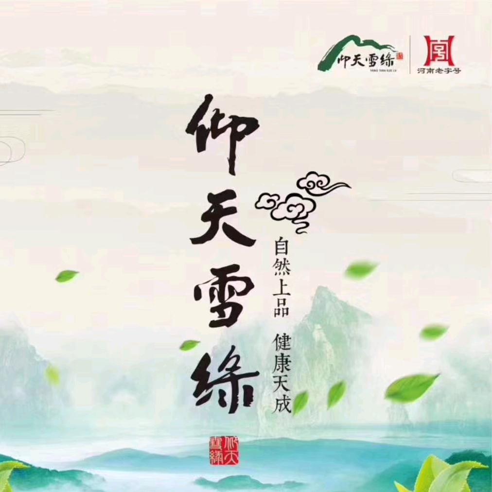 固始仰天雪绿茶叶店
