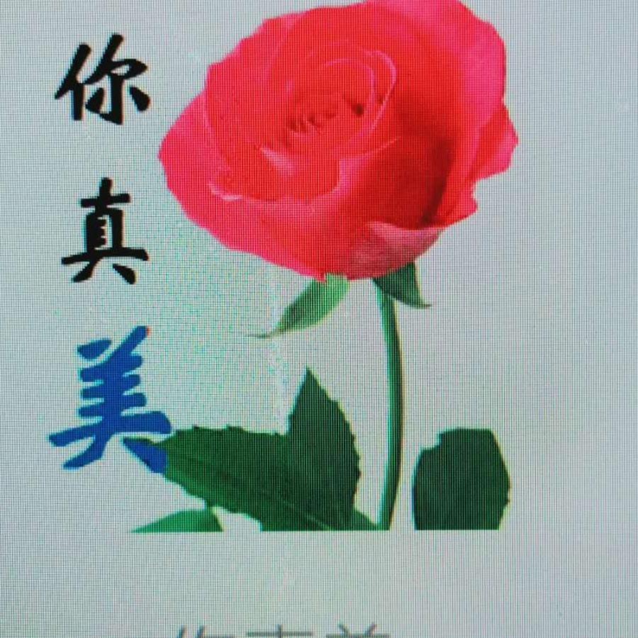 快乐中年😊