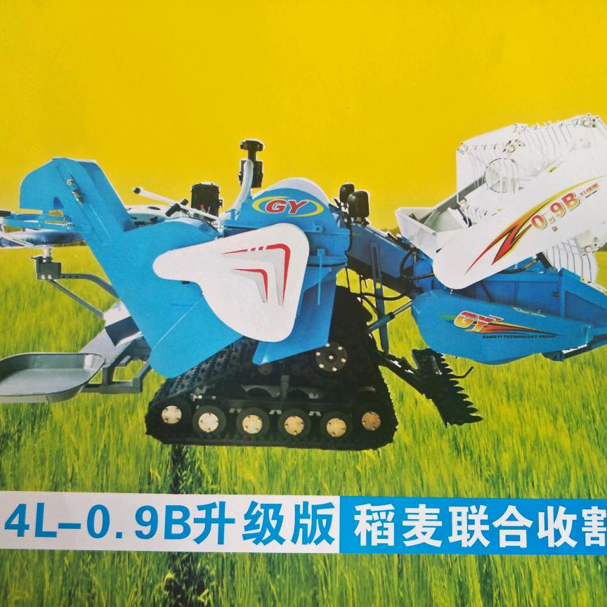 阿凡提