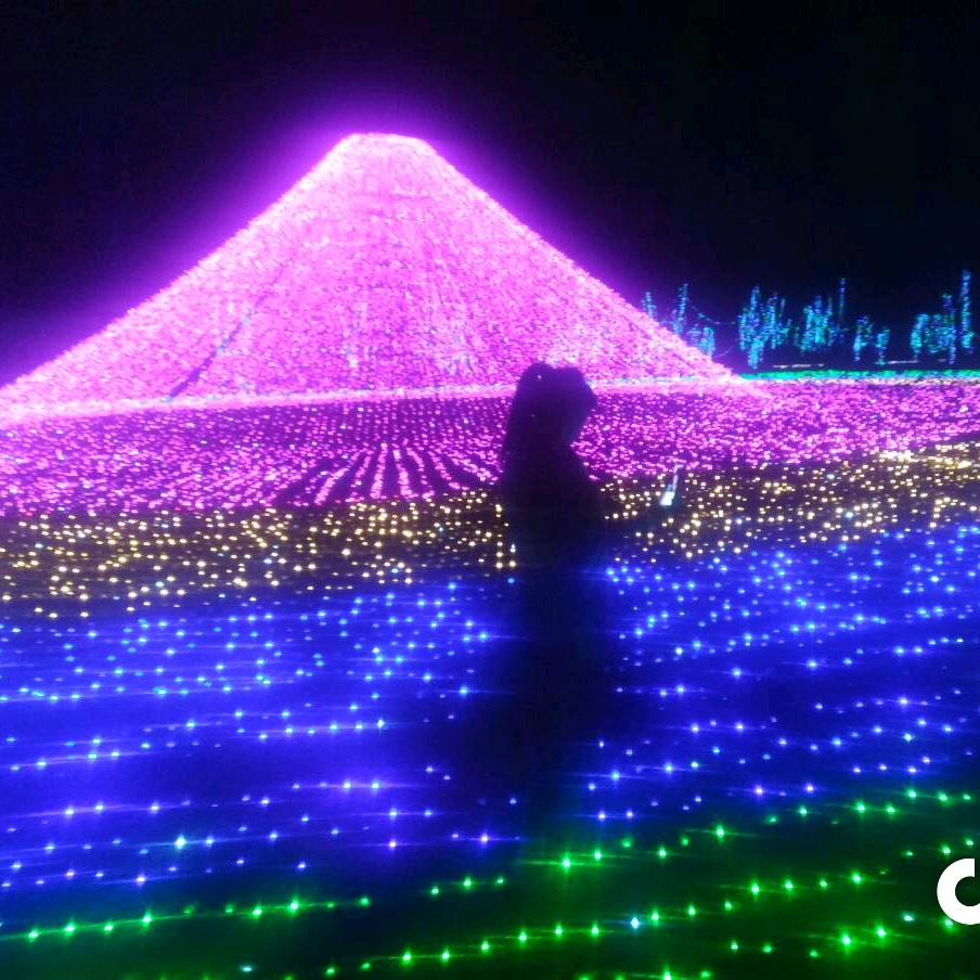 一笑而过🐍🐍💃💃