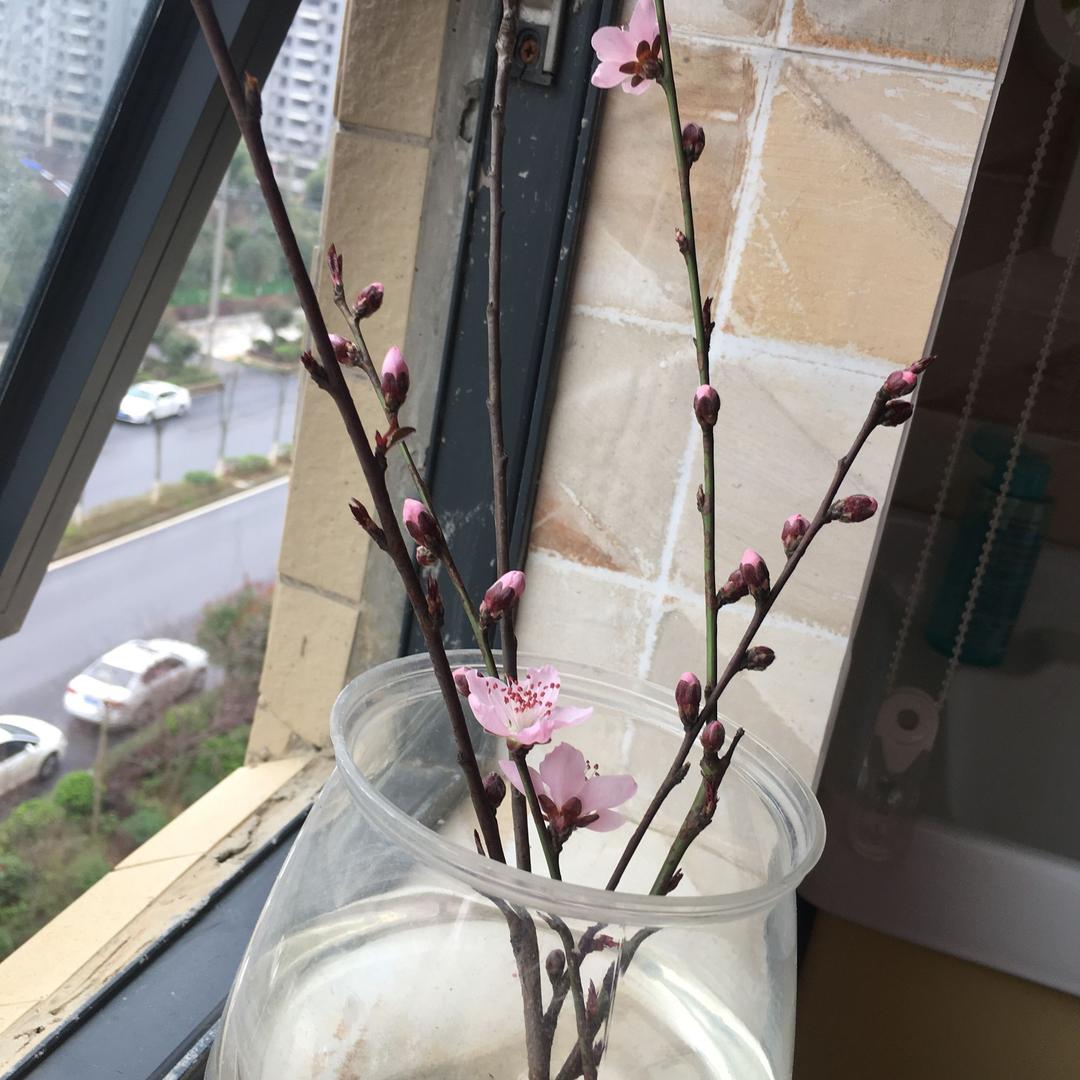 东莞市衣姿人服饰有限公司