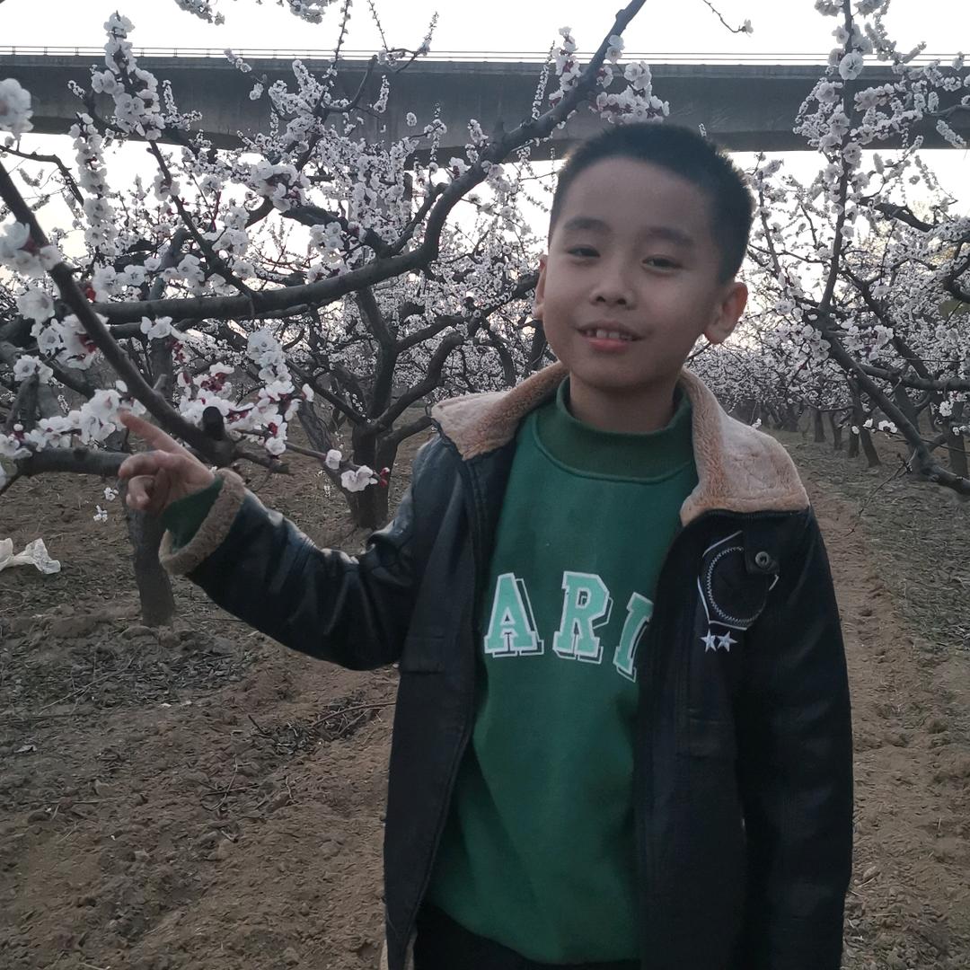 涛