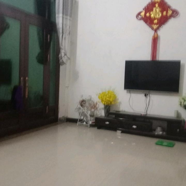 快乐的强子