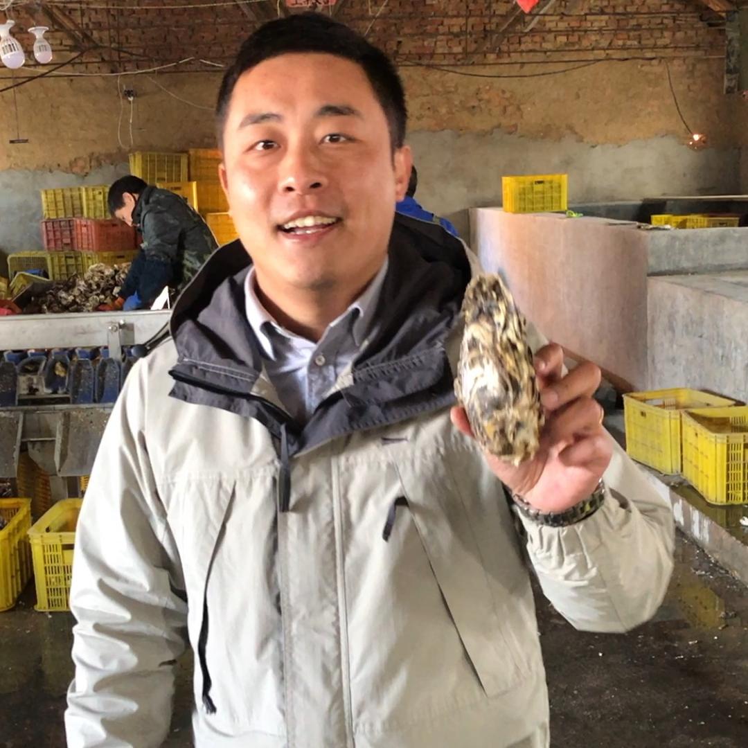 乳山海钛牡蛎生蚝养殖基地