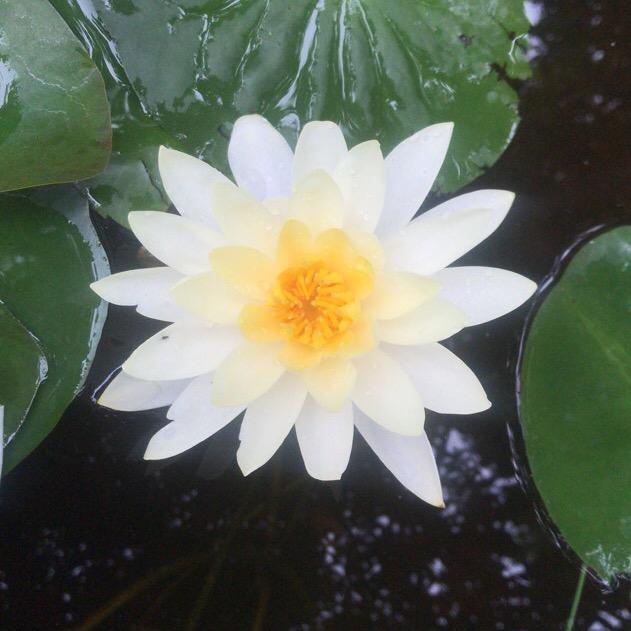 每一分钟