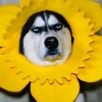 游戏体验小助手@抖音