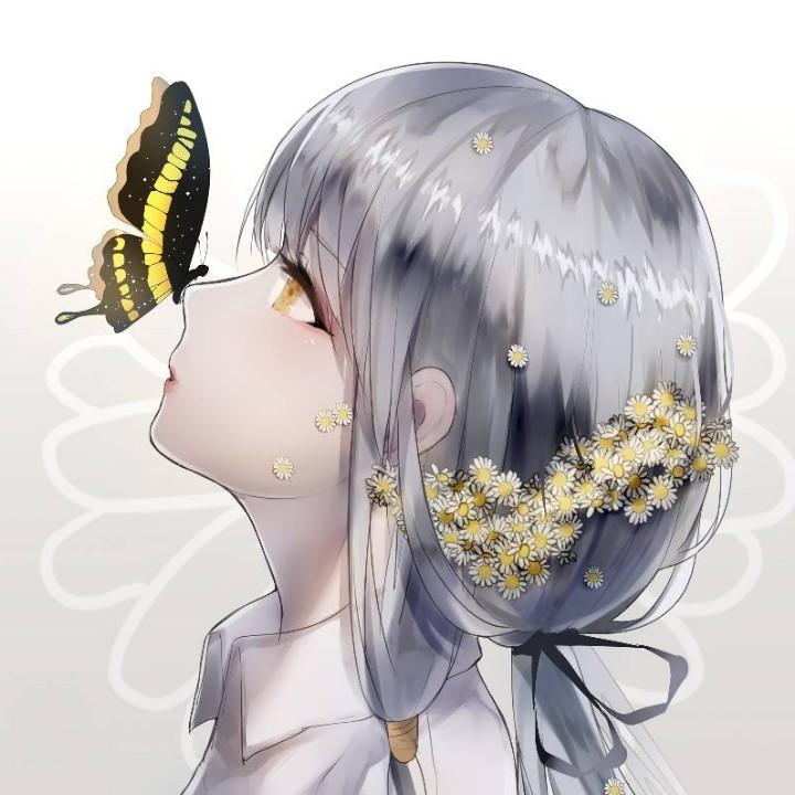 皎皎新月