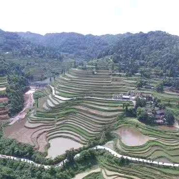 雅兰