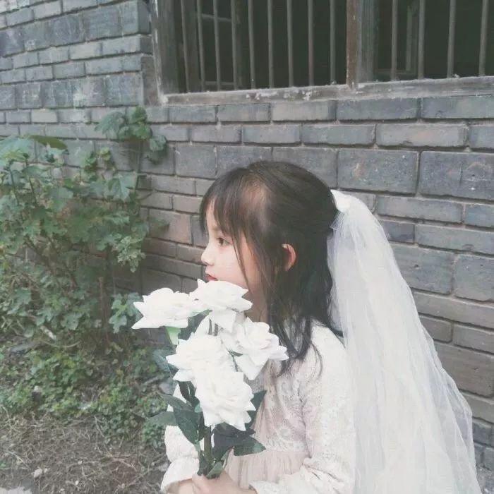 L糖炒李子