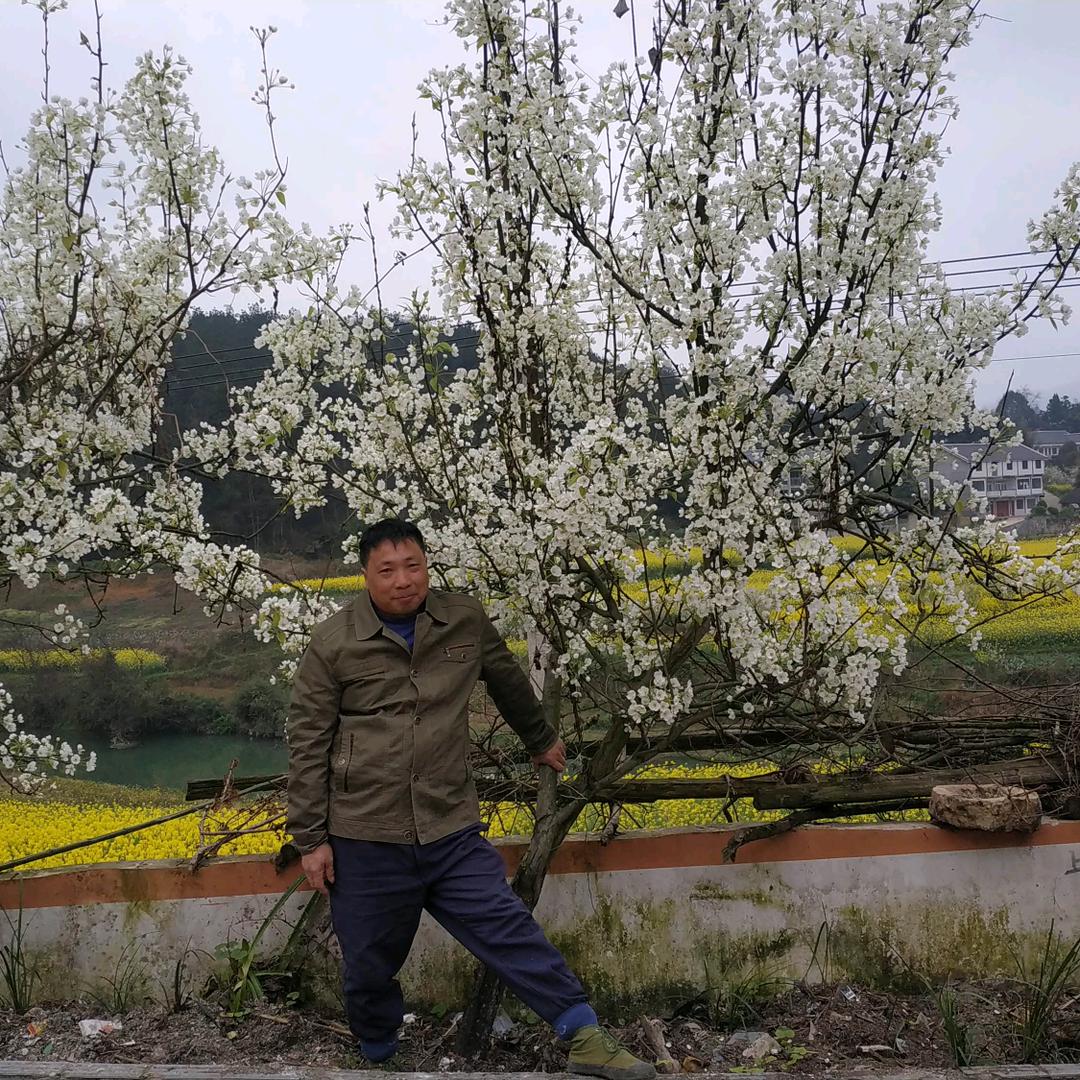 马到功成