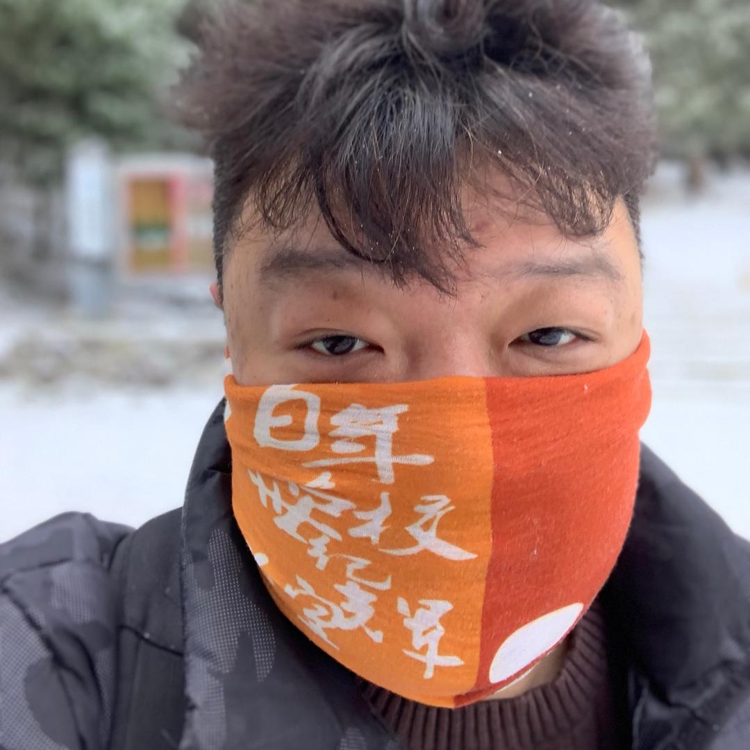 骆驼