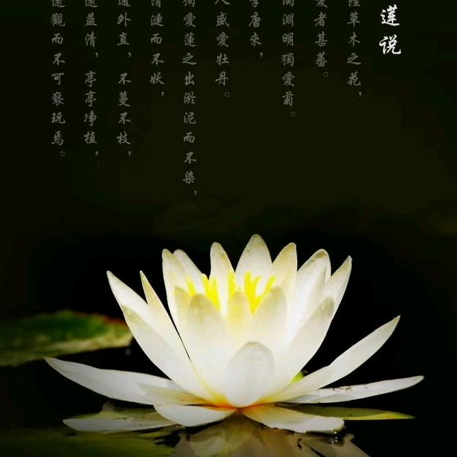 平平安安，感恩每一天