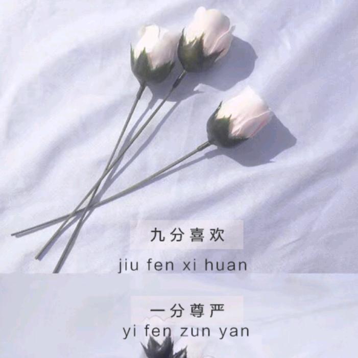 叶子