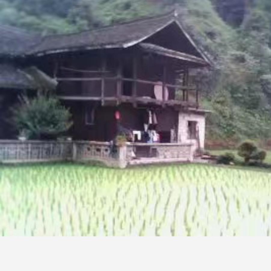 苗家妹子，安徽媳妇在凤阳卖苗家米酒