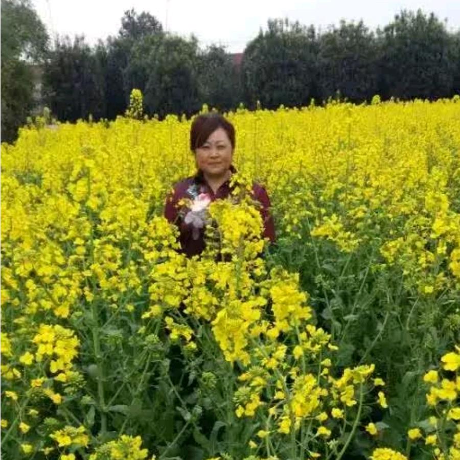 瑛子