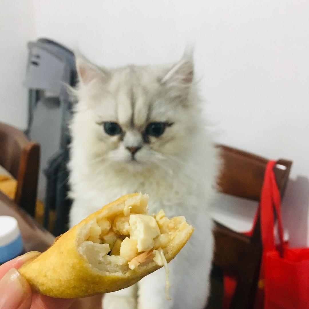 欧耶～