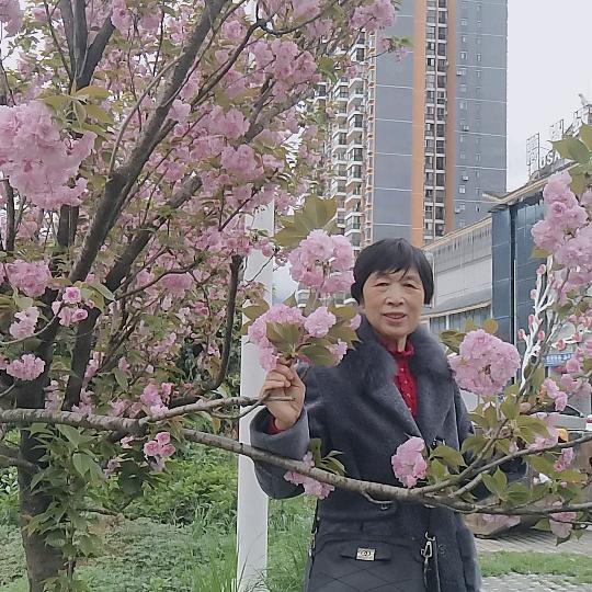 来一点雨