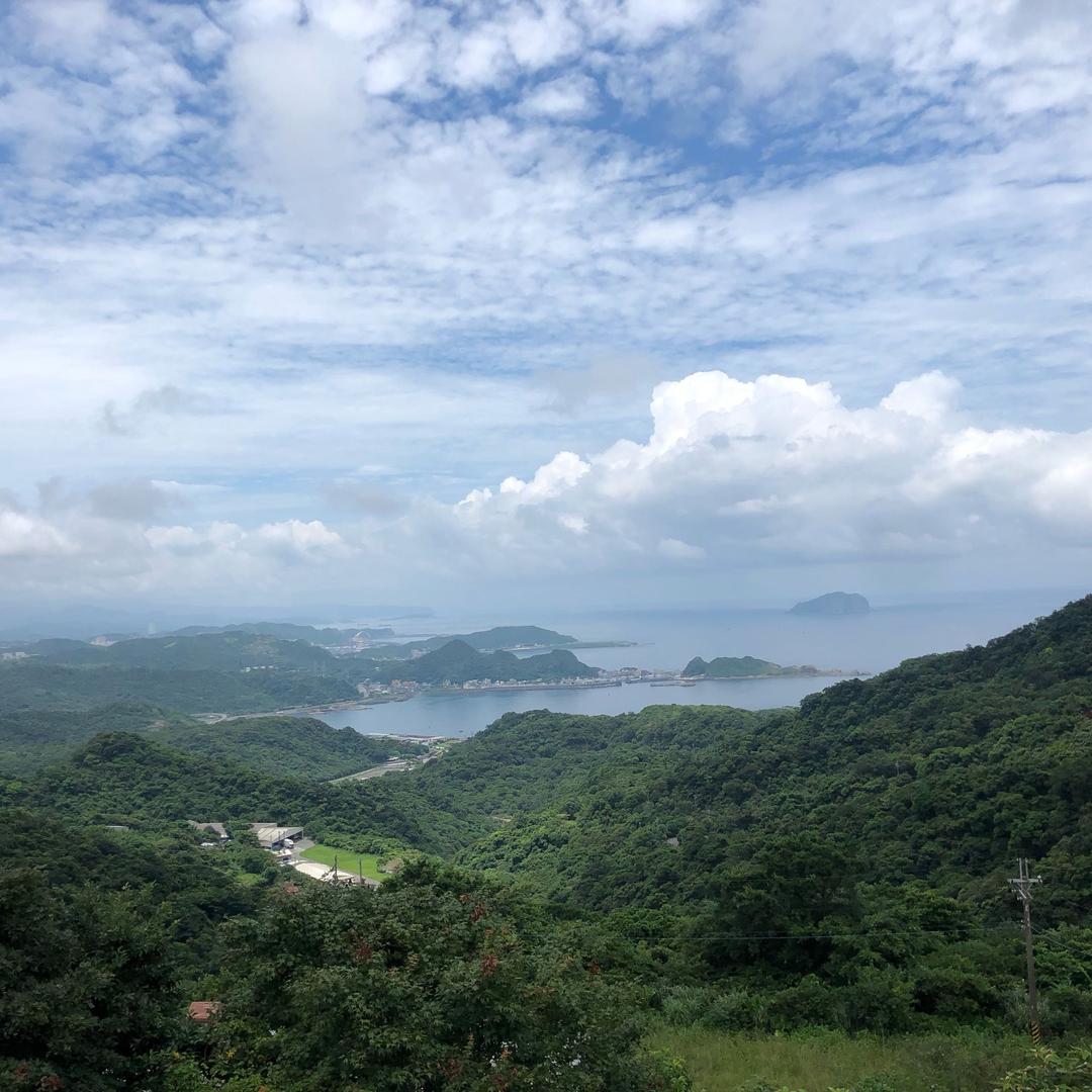 🐯🐯🐯呼呼呼