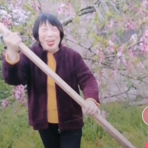 陈大姐