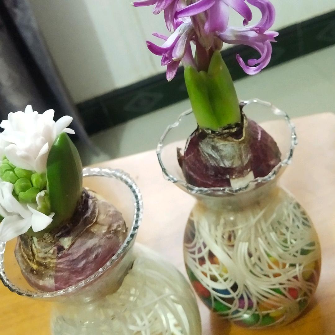 色