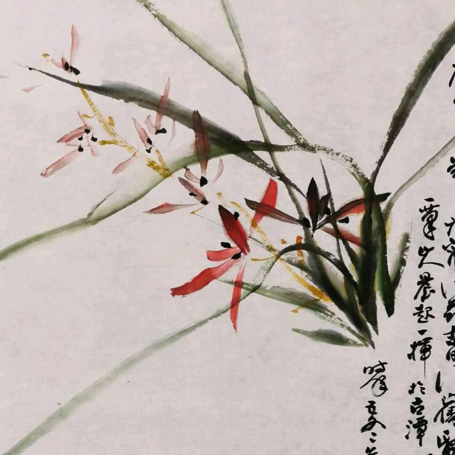 让心飞翔