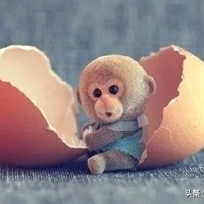 明天更好