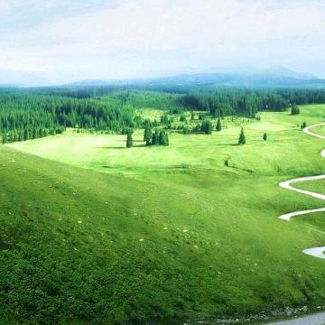 马到功成🎉🌻🎋