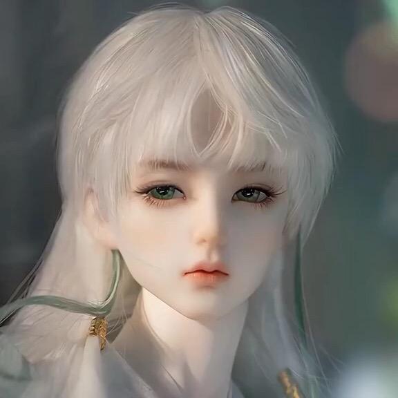 一棵小菠菜
