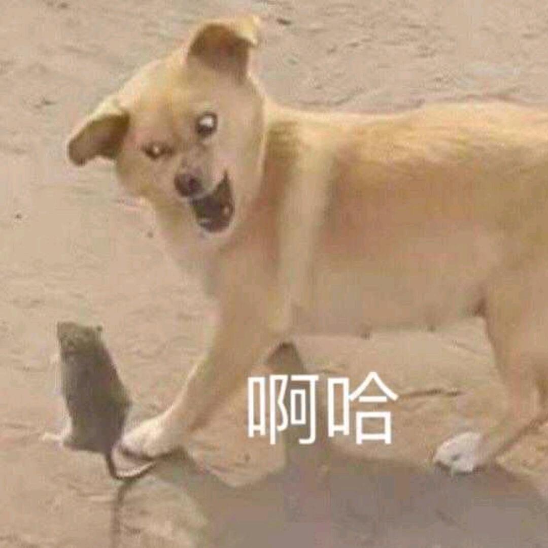 骑着蚂蚁过黄河